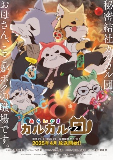 Araiguma Calcal Dan