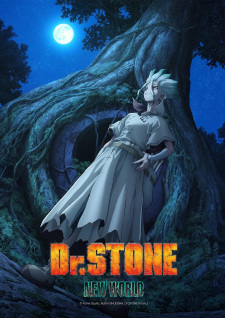 Dr Stone New World Dub