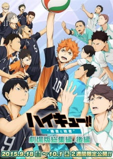 Haikyuu!! the Movie: The Winner and the Loser