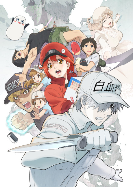 Hataraku Saibou Tv