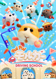 Pui Pui Molcar Driving School